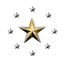 Gold Star Alliance