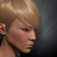 inv portrait