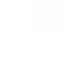 inv portrait