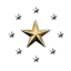 Swollen Starfish Alliance